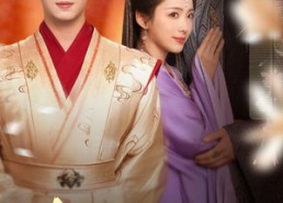 【烽烟误良缘】80集短剧全集免费畅享看