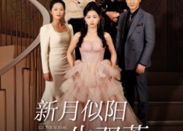 【双月耀长夜】36集精彩短剧免费赏看