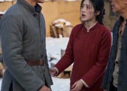 【陈岩的故事】120集短剧在线免费完整赏