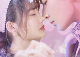 【治愈系婚书】80集在线短剧免费随心观看