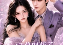 【顾总别装了，你马甲又掉了】66集精彩短剧免费在线赏看