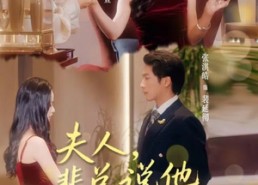 【夫人裴总说他不认识您】75集全集短剧在线播放观看