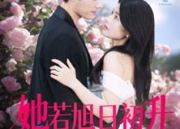 【她若旭日初升】40集短剧免费高清在线看