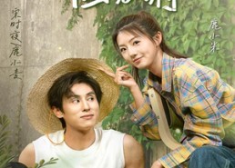 【捡了个总裁回农村】32集全集短剧免费在线完整看