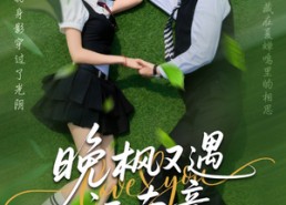 【晚枫又遇江南意】60集短剧全集免费观