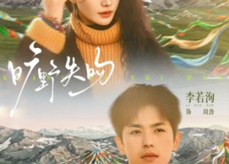 【旷野失吻】90集短剧免费在线完整观