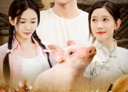 【开局一头猪我在荒年养全家】65集短剧免费在线全览