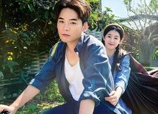 【我在80年代乘风破浪】82集免费在线短剧全集赏