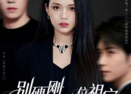 【别硬刚这位祖宗你真惹不起】87集短剧在线免费完整看