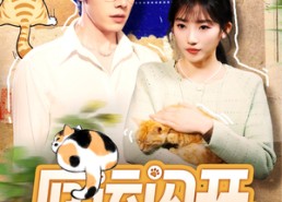【厄运闪开，幸运猫猫驾到】62集短剧在线高清观看
