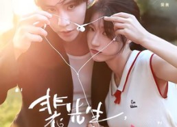 【裴先生，凑个婚】75集短剧免费完整赏看