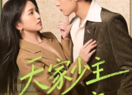 【天家少主隐都市】78集短剧在线高清观看