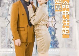 【闪婚幸运草的命中注定】82集短剧免费在线随心看