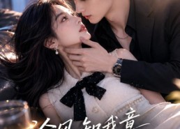 【冷风知我意，温柔失控】76集短剧全集在线观看无广告
