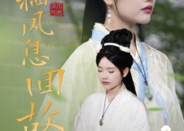 【凤栖凤息回故乡】36集短剧免费在线追看