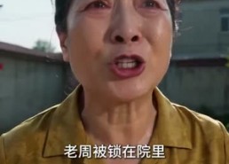 【窒息的牌局】48集短剧免费全集赏阅