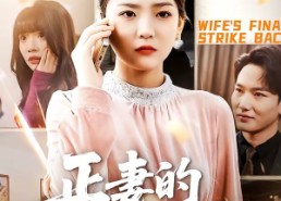 【正妻的绝地反击】76集短剧完整版免费观看