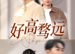 【好高骛远】50集短剧免费在线畅览