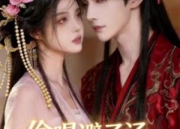 【奉旨嫁权臣，携手定朝堂】13集免费短剧完整观看