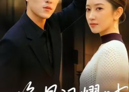 【晚星闪耀时】30集短剧免费在线全集赏看