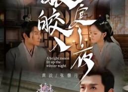 【皎皎入寒夜】88集短剧免费高清在线看