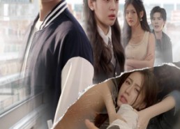 【唯你是归途】52集免费短剧在线高清观映