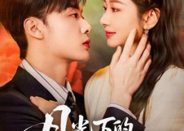 【月光下的千金契】83集短剧完整版免费线上看