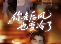 【你走后风也变冷了】73集短剧全集免费畅看