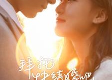 【拜托快结婚吧】91集在线短剧免费观看