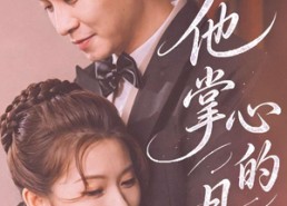 【他掌心的月光】50集短剧全集免费在线观
