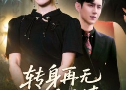 【转身再无手足情】71集免费短剧在线全集观赏