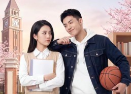 【渝见凡心：冤家教授，别躲我】95集短剧全集免费畅看
