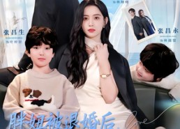 组合标题：【胖妞被退婚后，光芒万丈携娃归来】81集短剧免费畅享全集观看