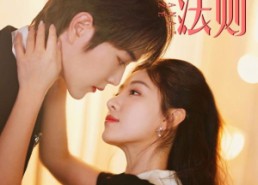 【偏爱法则】81集短剧在线全集免费览