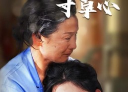 【天涯寸草心】76集短剧免费在线乐看