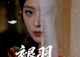 【褪羽时分】61集短剧在线畅快观看