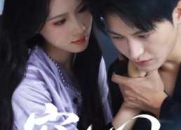 【窃心】63集短剧免费在线畅享观看