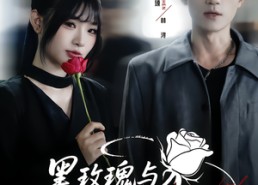 【黑玫瑰与天才操盘手】81集短剧资源免费在线观看