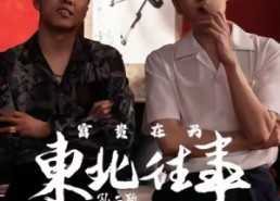 【东北往事之富贵在天】64集短剧免费在线赏览