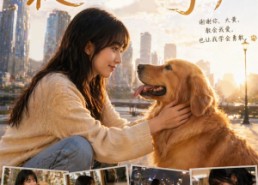 【最后一次守护】26集短剧在线高清赏看