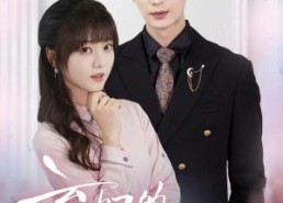 【弃妇的甜蜜翻身仗】64集短剧在线高清观看无广告