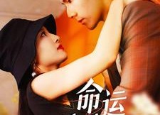 【命运呼叫转移】百集短剧免费在线全览