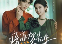 【暗恋贺先生的第八年】87集短剧资源在线速看