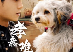 【孝意难偿】32集精彩短剧免费观瞧