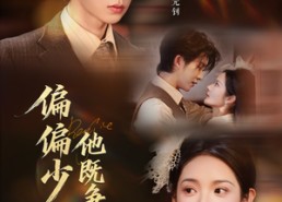 【偏偏少帅他既争又抢】55集短剧免费尽情观