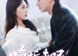 【晚栀未眠】77集短剧免费在线高清观看