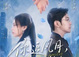 【你追风月，我守柴米】61集短剧免费全集在线播