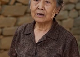 【落榜后，我靠养蜂年入千万】41集精彩短剧在线赏看