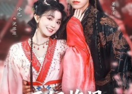 【王妃临门全城上下有喜了】66集免费短剧全集速看