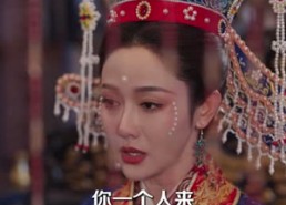 【大宋交子】45集短剧免费在线观看无卡顿